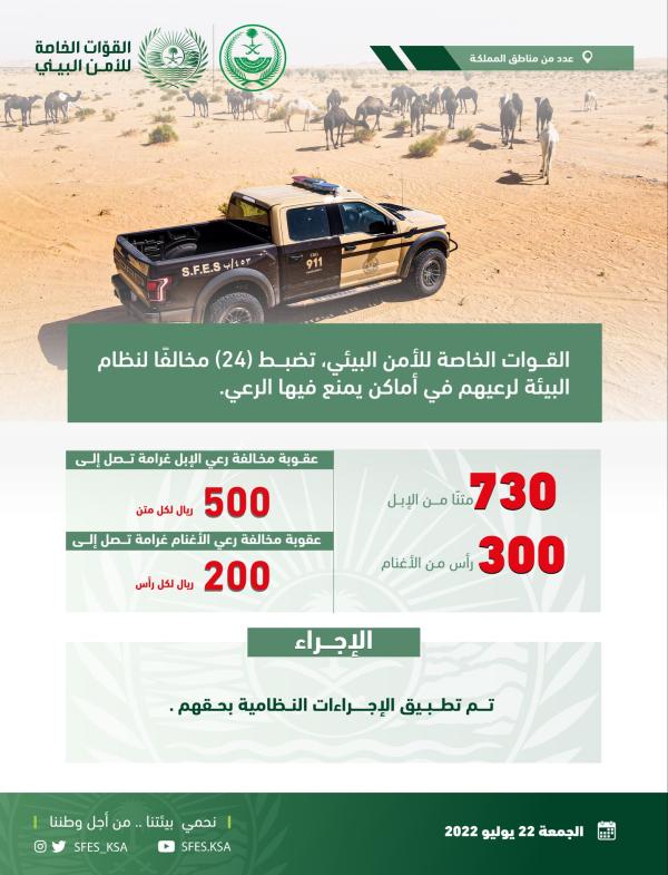 ضبط 24 شخصاً لارتكابهم مخالفات رعي بمناطق المملكة