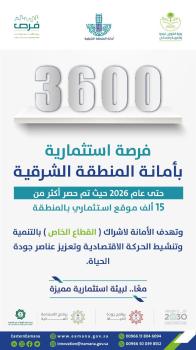 طرح 250 فرصة استثمارية جديدة بالشرقية