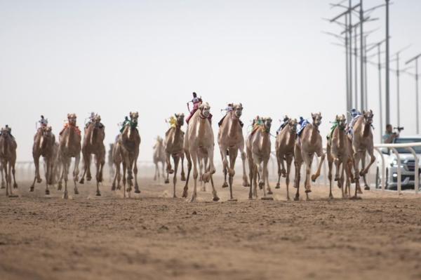 الأمير فهد بن جلوي: نسعى للوصول بـ«الهجن» للأولمبياد