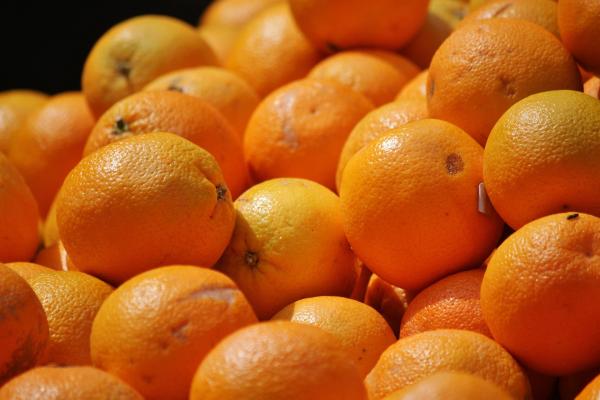 الحمضيات الشتوية تعزز جهاز المناعة - مشاع إبداعي