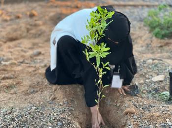 مبادرات لزيادة المسطحات الخضراء ورفع مستوى التشجير بالمملكة - اليوم