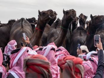 خلال أسبوع.. متحف الأسلحة بمهرجان الإبل يجذب أكثر من 5 آلاف زائر