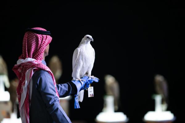 مزاين مهرجان الملك عبدالعزيز للصقور تختتم أشواطها