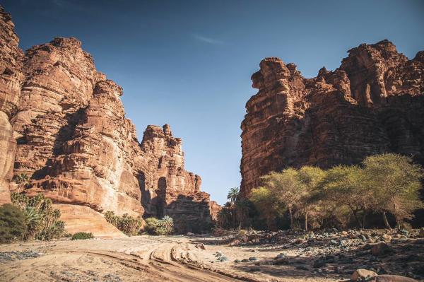 تبوك تشتهر بالقلاع والآثار التاريخية الخالدة- اليوم