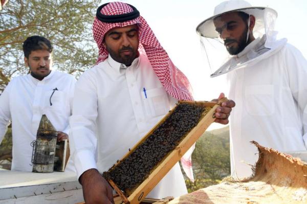 يقام مهرجان العسل السنوي في يوليو من كل عام - واس