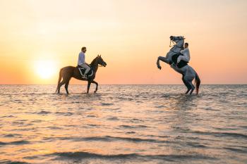 يمكن ركوب الخيل أو التخييم على شاطئ البحر الأحمر - روح السعودية