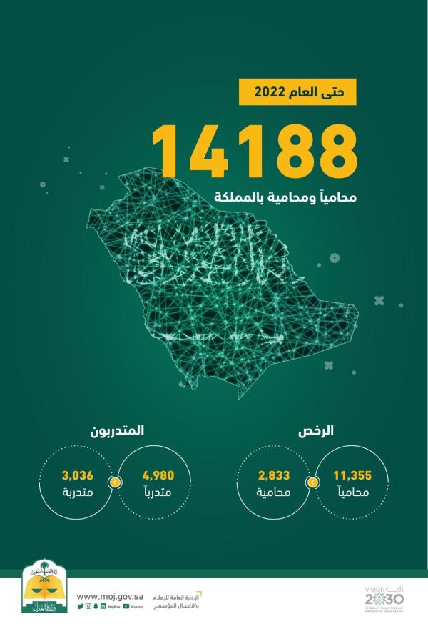 عدد المحامين والمحاميات المرخص لهم - وزارة العدل