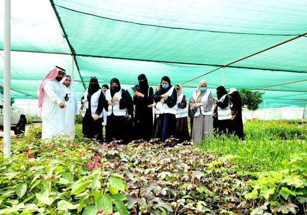 تكاثر النباتات ورعايتها.. ورشة عمل في جدة بالتزامن مع أسبوع البيئة