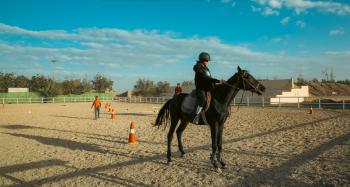 مركز الجزيرة للفروسية في جدة أحد أكبر المراكز تدريب وتعليم ركوب الخيل في المملكة - روح السعودية