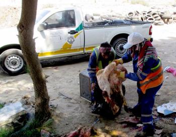 لائحة عقوبات رادعة.. فرق تفتيشية لرصد مخالفي الذبح العشوائي بالعيد