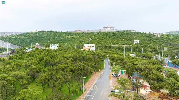 بعد هطول الأمطار.. متنزهات الباحة تشهد إقبالًا كبيرًا من الزوار
