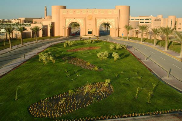 جامعة الملك فيصل بالأحساء - اليوم