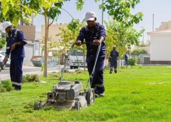 بلدية الظهران زرعت خلال النصف الأول من العام الجاري، 538 شجرة- اليوم