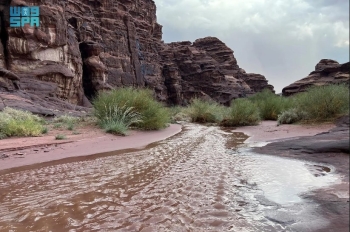 هطول الأمطار الغزيرة - واس
