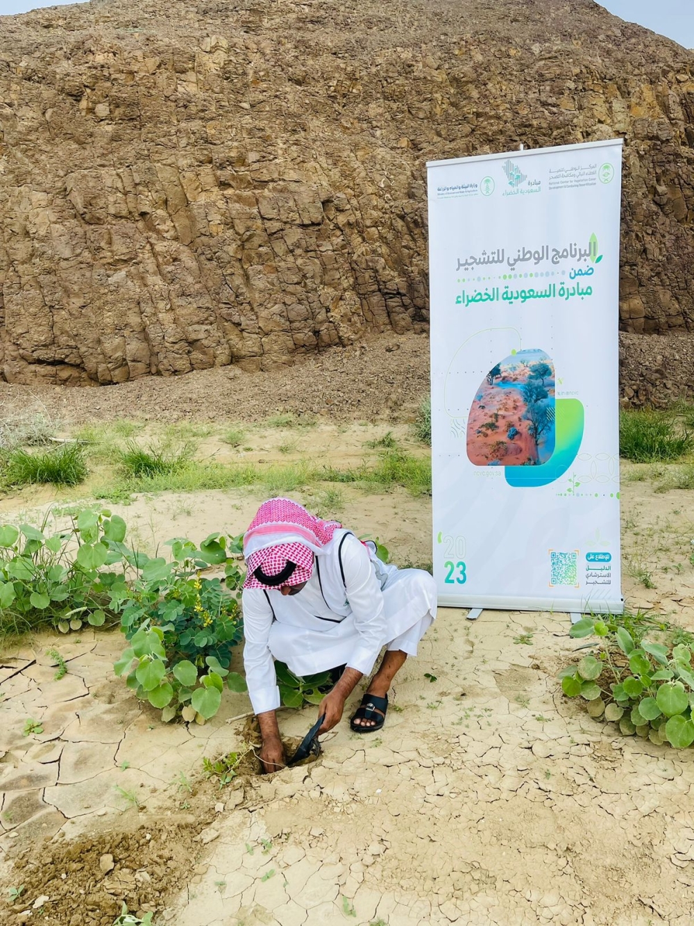 جانب من المبادرة - اليوم