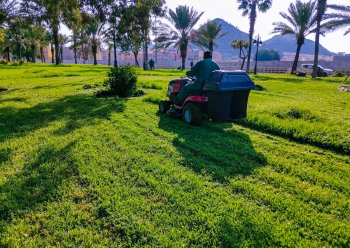 الطائف تستعد لزوار الشتاء بتعزيز صيانة المسطحات الخضراء