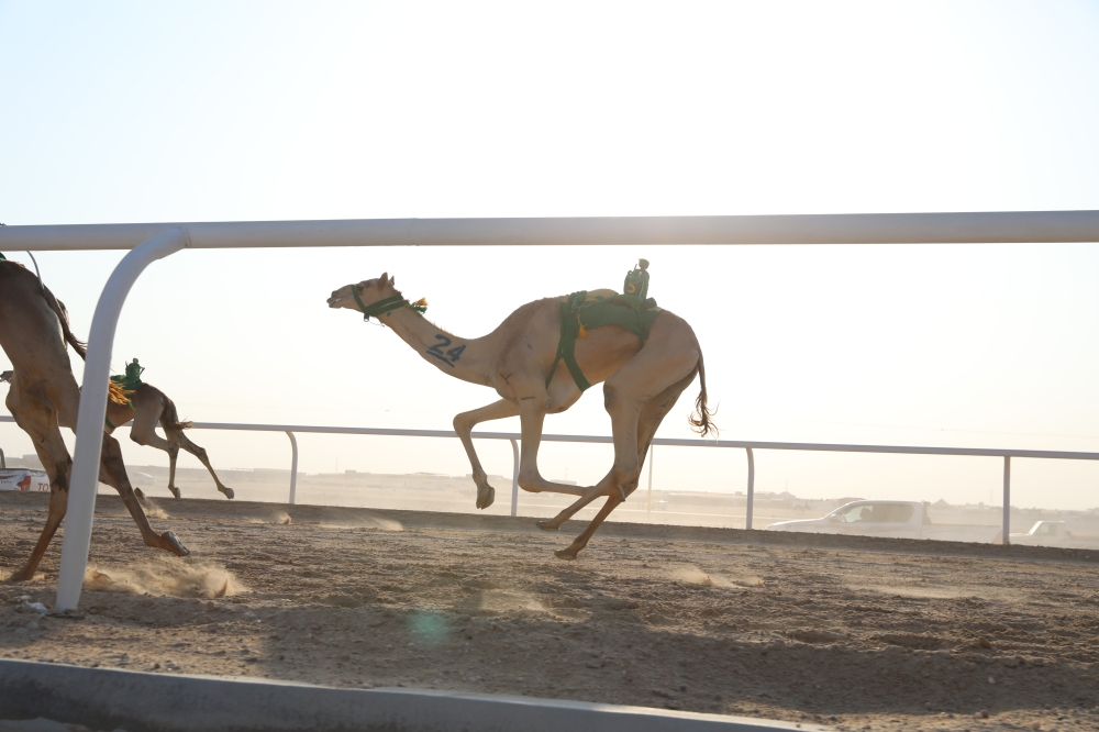 سيطرة إماراتية على كؤوس وزارة الرياضة لفئة 