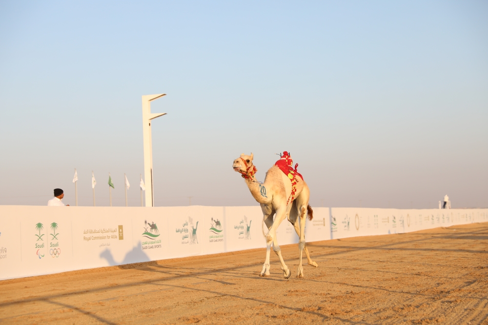 سيطرة إماراتية على كؤوس وزارة الرياضة لفئة 