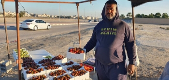 فيديو | الطماطم الرامسي.. فاكهة الشتاء في القطيف