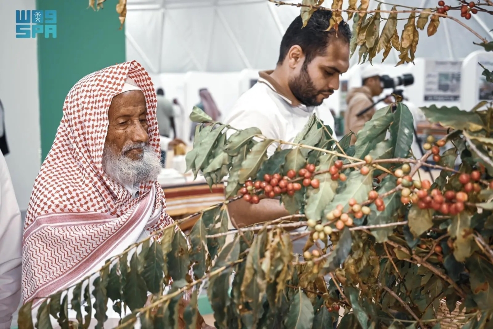 مهرجان البن بالباحة ظاهرة اقتصادية ثقافية وحضارية - واس