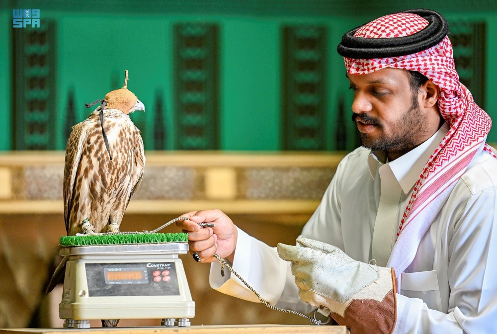 ميزات رئيسة في جمال الصقور - واس