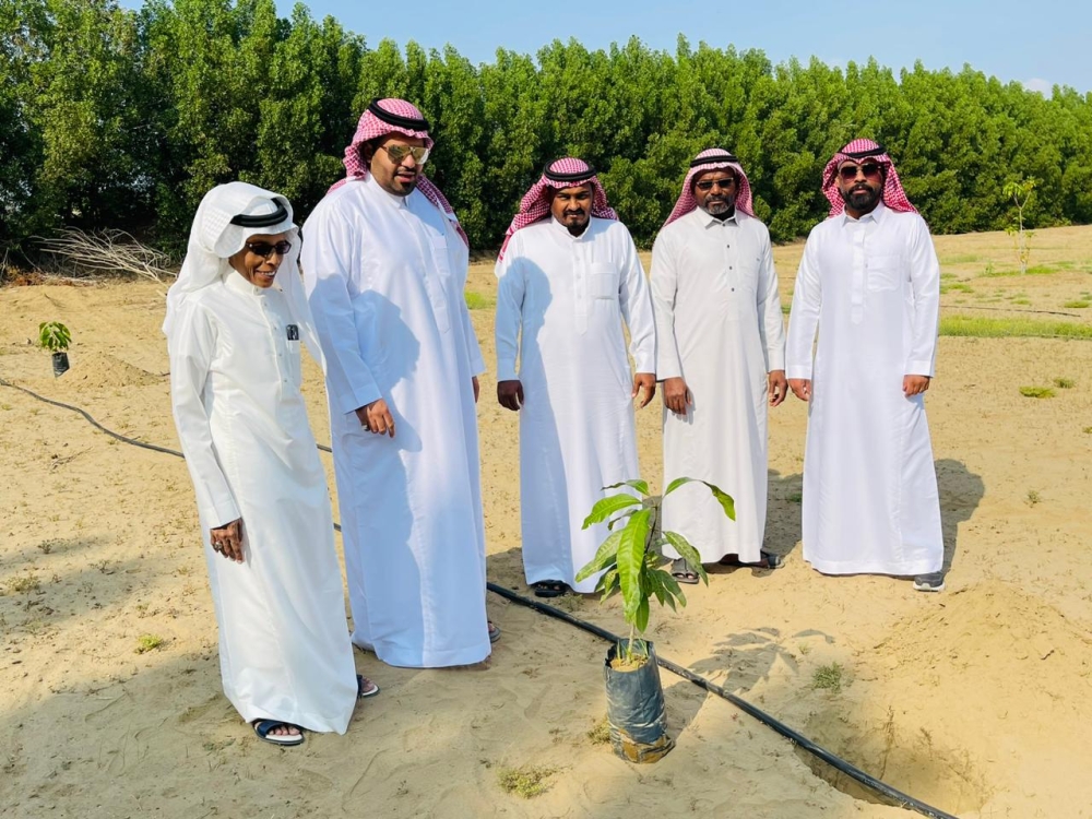 مشروع لإعادة تأهيل المزارع المهملة في القنفذة - اليوم