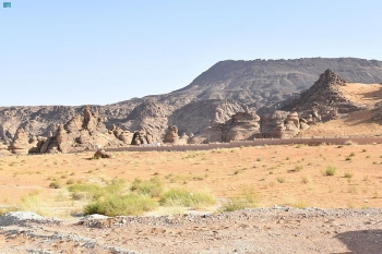 محمية الملك سلمان بن عبد العزيز الملكية - واس