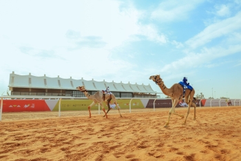 مهرجان خادم الحرمين الشريفين للهجن يعيد آخر بطل في الجنادرية