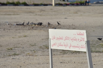 بقايا الطعام - تصوير : مرتضى بو خمسين 