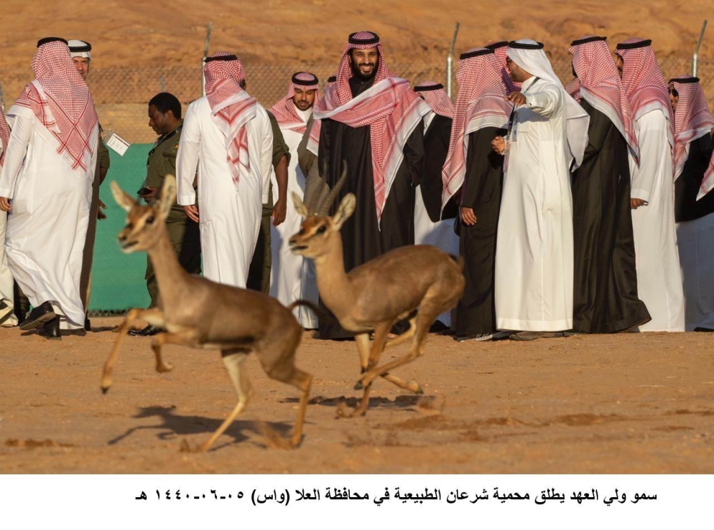 جهود السعودية في الحفاظ على ثروتها من الأحياء البرية - واس