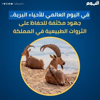 في-اليوم-العالمي-للأحياء-البرية..-جهود-مكثفة-للحفاظ-على-الثروات-الطبيعية-في-المملكة