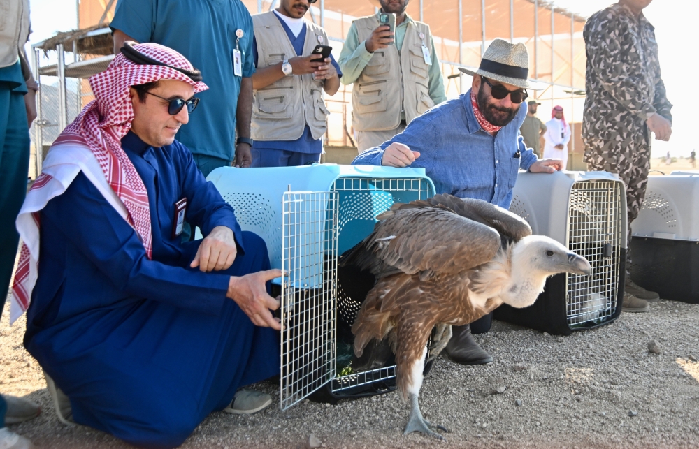 جهود كبيرة للمركز الوطني لتنمية الحياة الفطرية- حساب المركز بمنصة إكس