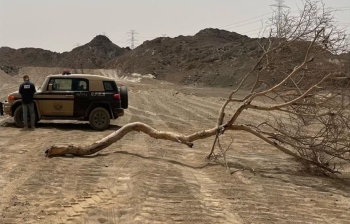 "الأمن والحماية" تضبط مخالفًا لنظام البيئة باستغلال الرواسب