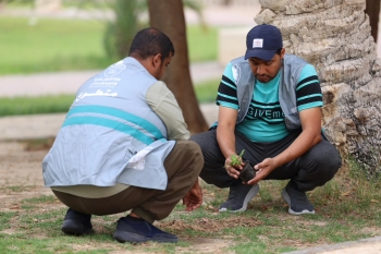 أمانة الأحساء زرعت خلال 3 شهور 147865 من الأشجار والشجيرات - إكس الأمانة