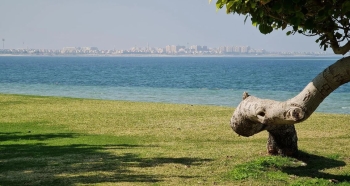 شاطئ الفناتير يتمتع بالمناظر الطبيعية المميزة- واس