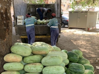 جانب من المصادرة - اليوم