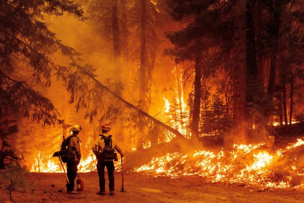 أكبر حريق في الولايات المتحدة يدمر 1554 كيلومترا مربعا