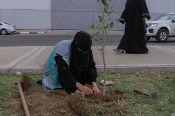 مبادرة مجتمعية لزراعة الشتلات بالشوارع والميادين العامة في الطائف
