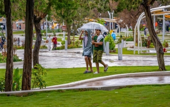 أجواء منطقة الباحة بين الضباب وزخات المطر المستمر - واس