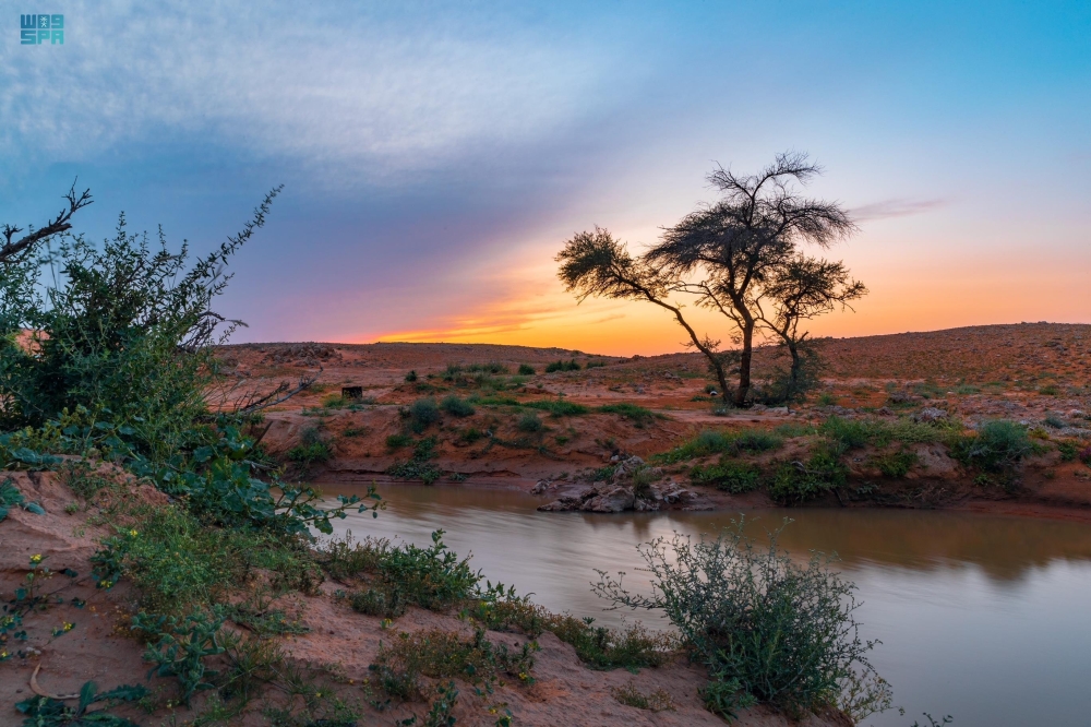  محمية الإمام عبدالعزيز بن محمد الملكية - واس