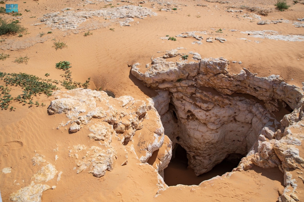  محمية الإمام عبدالعزيز بن محمد الملكية - واس