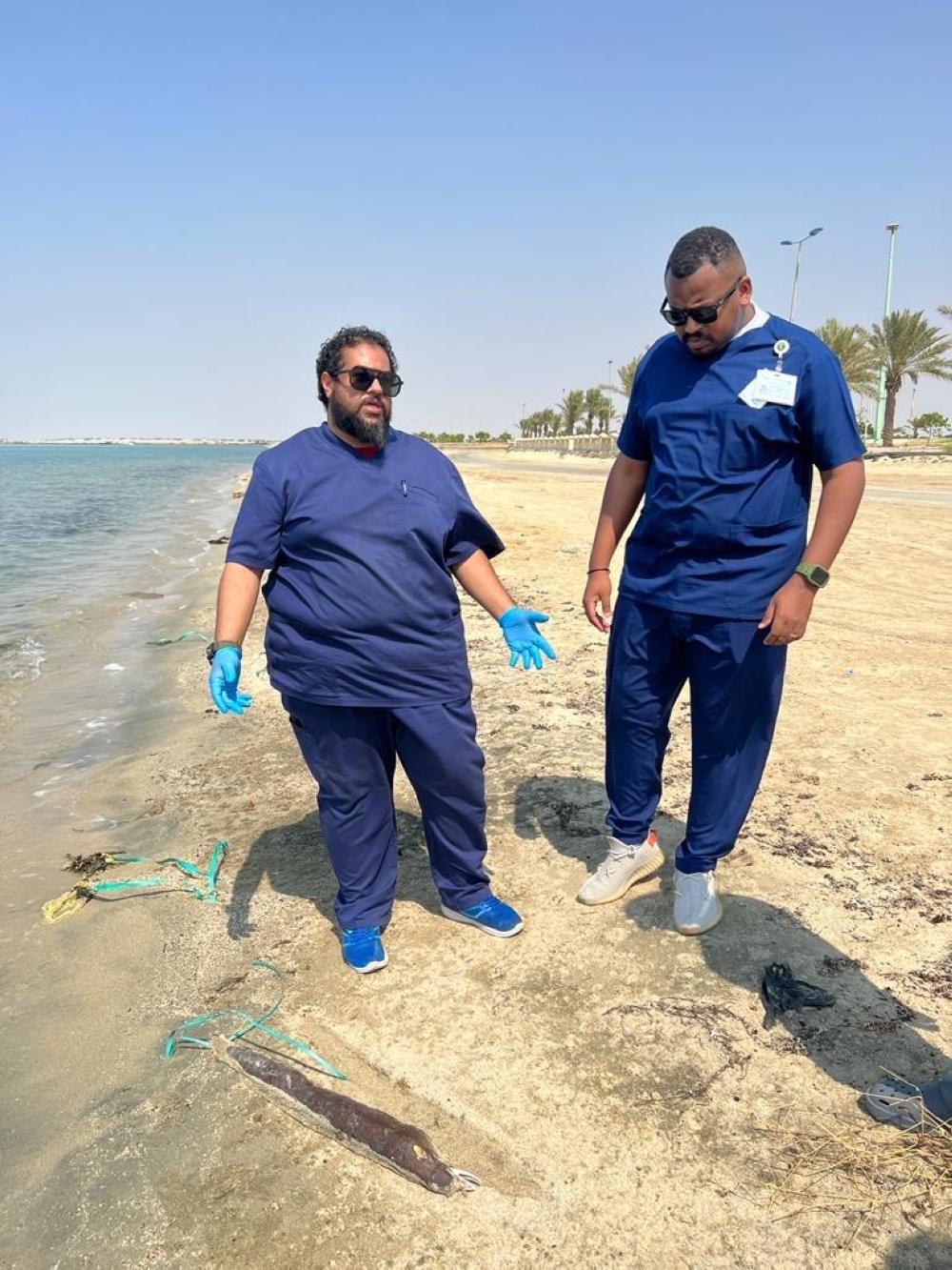 بالصور.. نفوق جماعي لأسماك الشاقة على شاطئ جدة