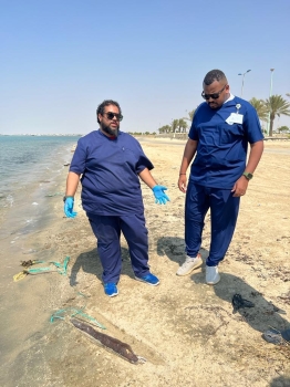 نفوق جماعي لأسماك الشاقة على شاطئ جدة - اليوم 