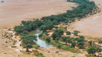 محمية الملك عبدالعزيز الملكية- واس