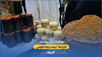 فيديو| من البذرة إلى الثمرة.. 