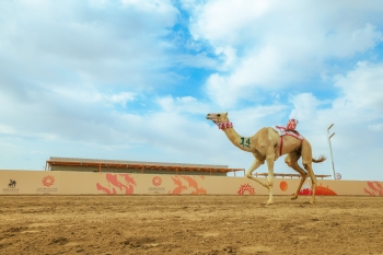 مهرجان ولي العهد للهجن - اليوم 