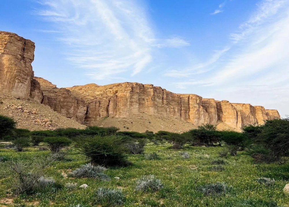 بتحقيق معايير 