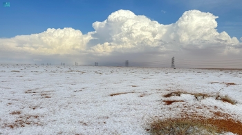 صور| بشارة موسم النباتات العطرية.. الجوف تكتسي بالبياض بعد نزول البرد