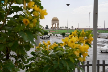 صور | الأمطار الغزيرة تضفي جمالًا على شوارع وحدائق رفحاء