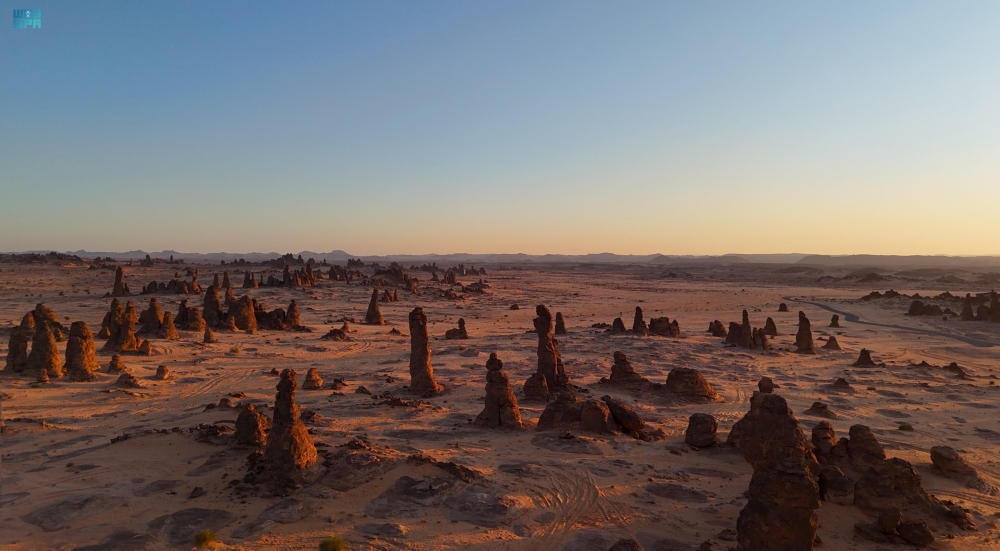 محمية الغراميل - واس